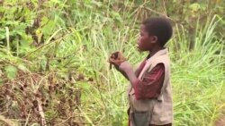 Plus de 25.000 autochtones sont menacés d'apatridie au Congo