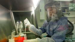 Quiz - Machine Learning Used to Predict Where New Coronaviruses Might Develop Next