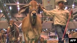 Ramani ya eneo kuu la uharamia kwenye pwani ya Somalia