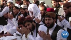 Toshkent nega Tolibonga ishonmoqda?