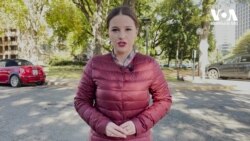 ამერიკის ყოფილი ელჩები სააკაშვილის შესახებ