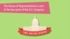 What Is the US House of Representatives?