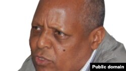 ዶ/ር መረራ ጉዲና