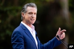 California Gov. Gavin Newsom speaks at the San Diego Zoo, Aug. 8, 2024, in San Diego. Newsom opposes the Koi Nation's plans to develop a casino resort in Sonoma County.