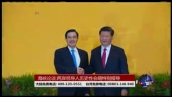 海峡论谈:两岸领导人历史性会晤特别报导