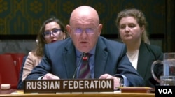 바실리 네벤쟈 유엔 주재 러시아 대사 (화면출처: UNTV)