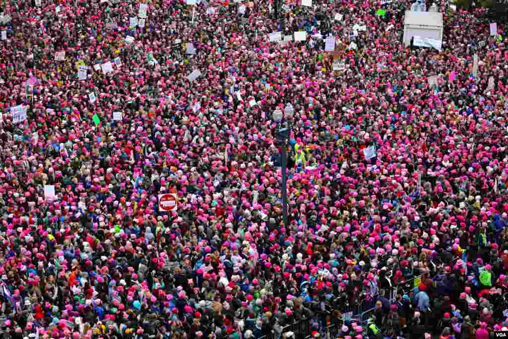 View of the Women's March on Washington from the roof of the Voice of America building in Washington, D.C. January 21, 2017 (B. Allen / VOA)