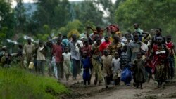 Sango ya Mokili Lelo: Bavandi ba Kiwanja batatoli bobangi bwa bango na bitumba bya M23