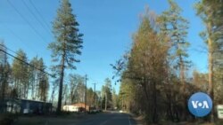 Community Reflects One Year After Devastating California Fires