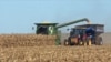 路透独家：中国玉米储存大幅减少，叫停推广混合石油计划