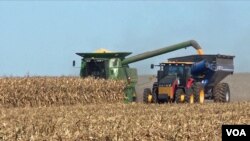 2019年10月12日，美国伊利诺伊州的一位农民在收割玉米。