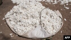 Du coton brut non transformé à Bakou, dans le district de Wewe, au Bénin, le 9 janvier 2018.