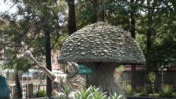 ኦሮምያ ክልል ትውልደ ኢትዮጵያ ግዩራኑን ለማስተናገድ ተዘጋጅቷል