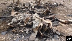 Carcasses of elephants slaughtered by poachers in Boubou Ndjida National Park, Cameroon, Feb. 16, 2012.