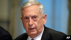 Menteri Pertahanan Amerika, Jim Mattis 