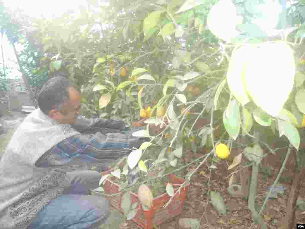 Bahrom aka ish ustida.