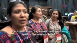 Pameran Ternak dan Rodeo di Houston, Texas