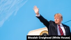 도널드 트럼프 미국 대통령.