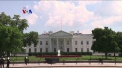 Kesepahaman Donald Trump dengan Partai Demokrat Sikapi DACA