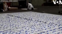 Saisie record de drogue au Royaume-Uni