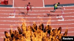 Day 7 of the Competition