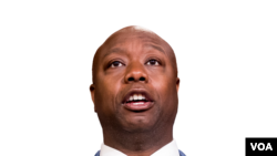 سناتور تیم اسکات