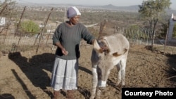 马谢勒说， “我们爱我们的驴子们，因为他们是我们唯一的收入来源。” “没有了他们，我们就没饭吃了。” (美国之音卡西姆拍摄)