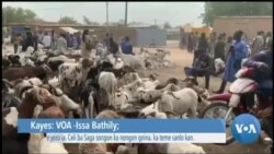 Kayes: Celi ma saga fere sougou.