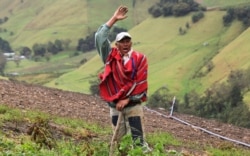 Luis Villamizar stands in a carrot field in a community near La Grita, Venezuela, June 19, 2019.