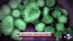 患者、医生与科研人员需迅速应对细菌抗药性