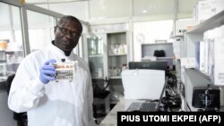 Le professeur Christian Happi, directeur du Centre africain d'excellence pour la génomique des maladies infectieuses (ACEGID), dans son laboratoire à l'Université Redeemer's à Ede, dans le sud-ouest du Nigeria, le 2 juin 2020. (Photo by PIUS UTOMI EKPEI / AFP)