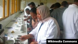 Des techniciennes formées à l'évaluation des grains de café (VOA)