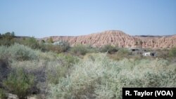 Residents in rural areas like Moapa Valley, Nevada, which is 92 percent white, feel immigration policies will affect them indirectly as the overall state electorate becomes more diverse. 