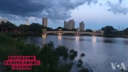 Mobil-salom: Garvard universitetida sayr