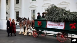 Presiden Donald Trump dan Ibu Negara Melania Trump menerima Pohon Natal Gedung Putih di North Portico, Gedung Putih, Washington, 19 November 2018. 