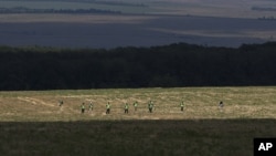 2014年8月3日澳大利亚和荷兰专家在坠机现场