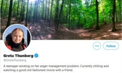 Screenshot of Greta Thunberg's Twitter profile page.