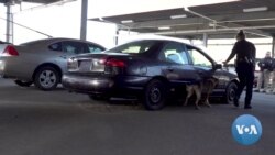 TV- US Opioid Detector -- WEB