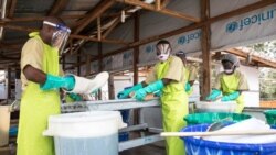 Deux premiers cas Ebola confirmés dans le Sud-Kivu