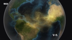 Saharan Dust Feeds Amazon Rainforest