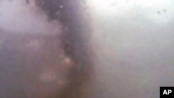 A cloud of oil in the water