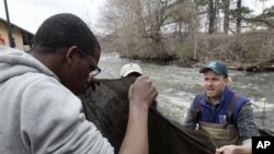Chris Bowser dari Departemen Perlindungan Lingkungan Negarabagian New York, kanan, dan siswa SMA Richard Bonnet memeriksa jaring untuk menangkap belut di Fall Kill. Bowser memimpin sukarelawan pengamat yang mengumpulkan data bagi para ilmuwan lain (foto: 