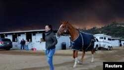 لاس اینجلس میں آگ، جانوروں کی محفوظ مقامات پر منتقلی