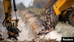 Members of Danish health authorities are assisted by members of the Danish Armed Forces in disposing of dead mink in a military area near Holstebro in Denmark November 9, 2020. 