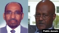 አምባ. ፍሰሃ አስገዶም /ግራ/ ፤ አቶ ነአምን ዘለቀ /ቀኝ/