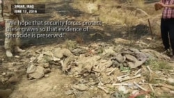 Yazidi Mass Graves Subject to Depredation by Animals, Weather, Even People
